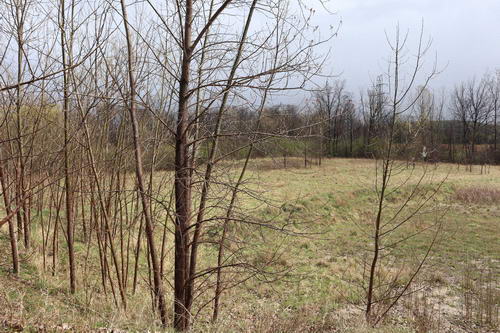 Chief Pontiac Speedway (Lake Angelus Speedway) - The Lot In April 2021